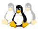 VPS Linux